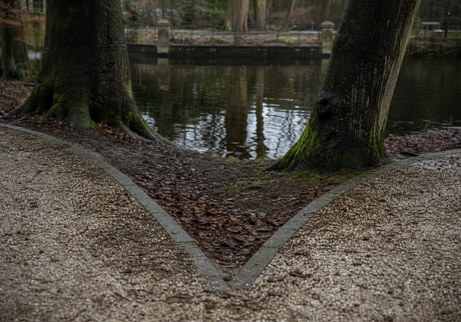 Verzorgde paden, volwassen bomen en stil water in het Haagse Bos na een regenbui.