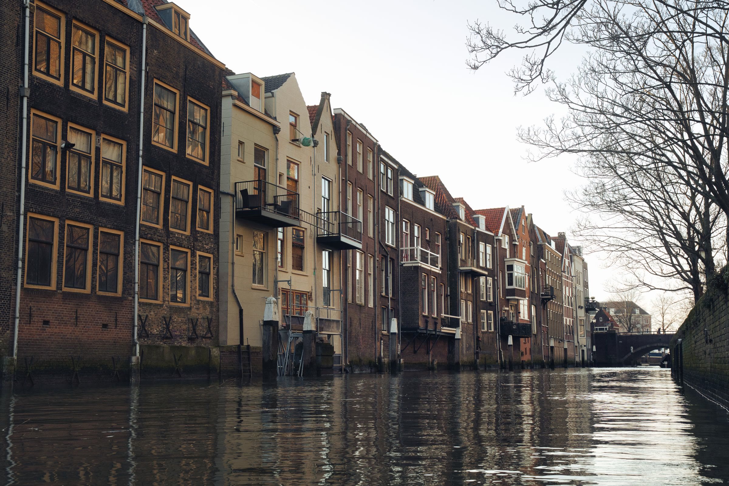 Historische gevels langs een gracht in Dordrecht.